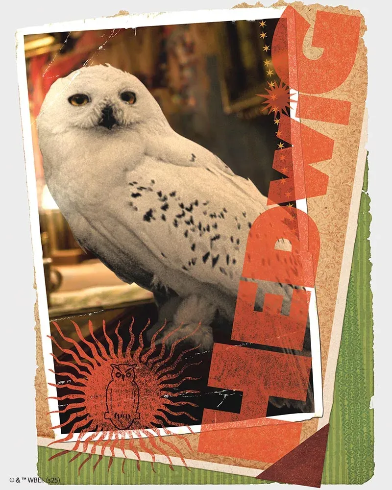 Broderie diamant Harry Potter - Carte Hedwige
