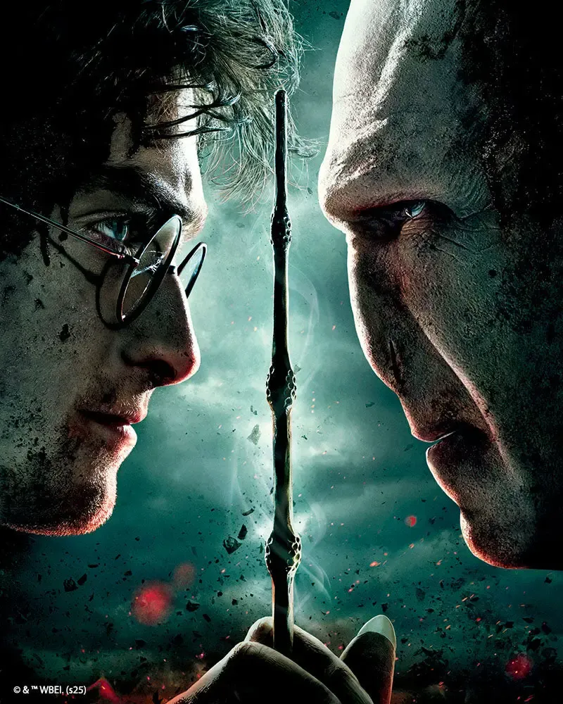 Broderie diamant Harry Potter contre Lord Voldemort