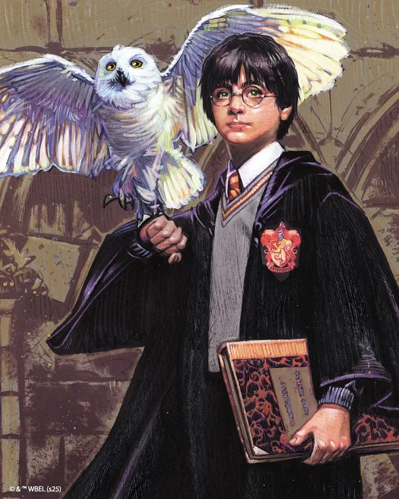 Broderie diamant Harry Potter et Hedwige