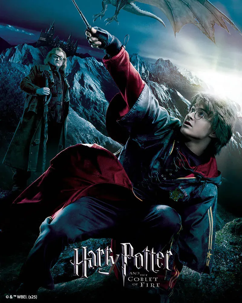 Broderie diamant Harry Potter et la Coupe de Feu Affiche
