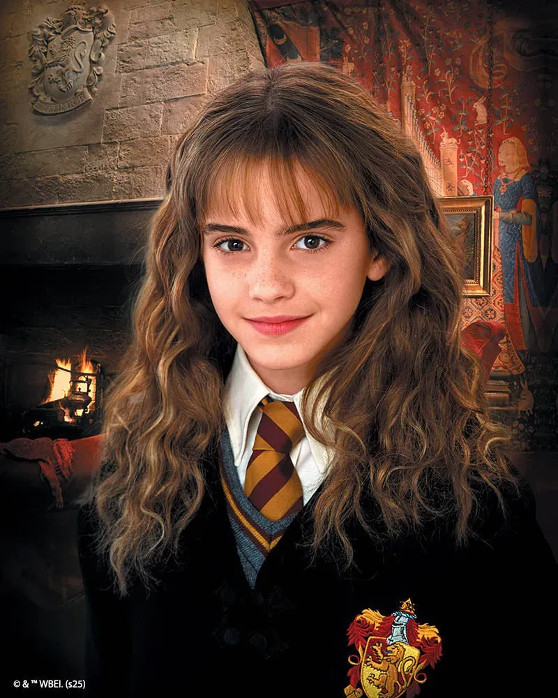 Broderie diamant Harry Potter - Portrait d'Hermione Granger