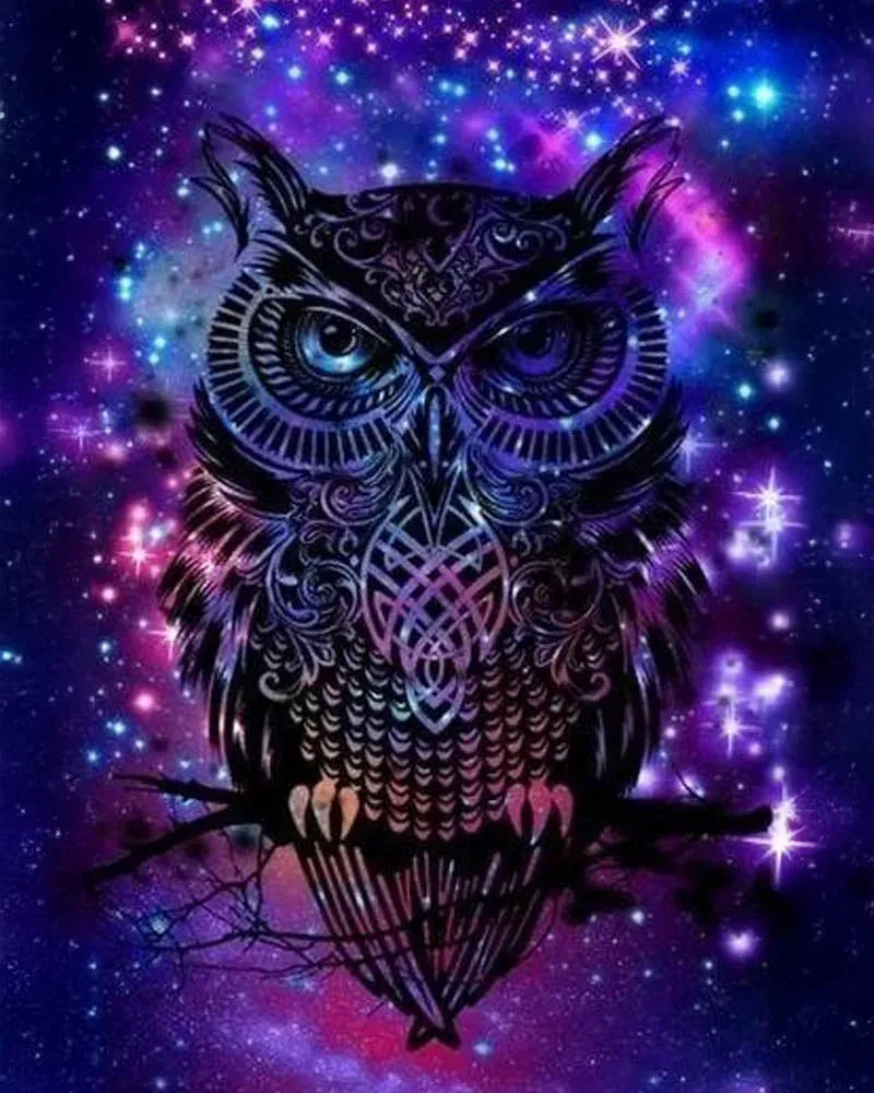 Broderie diamant Hibou dans la Nuit