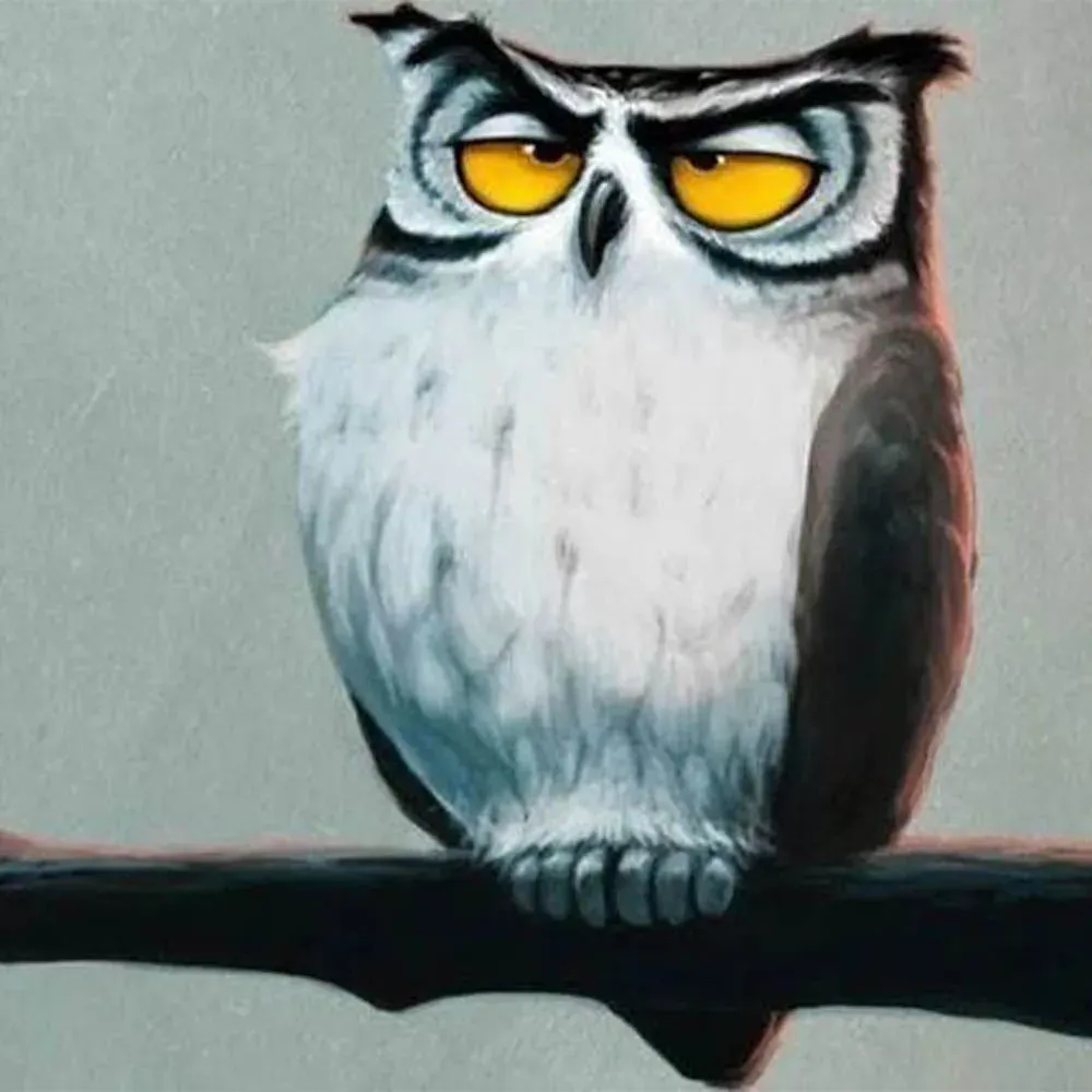 Broderie diamant Hibou interrogateur