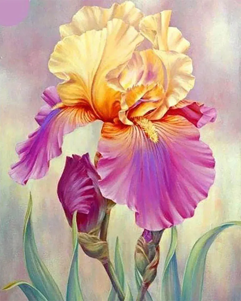 Broderie diamant Iris bicolore