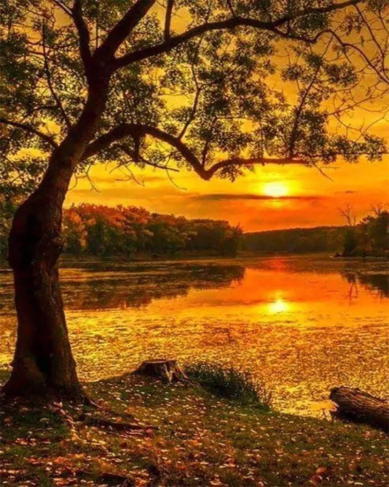 Broderie diamant Lac au coucher du Soleil