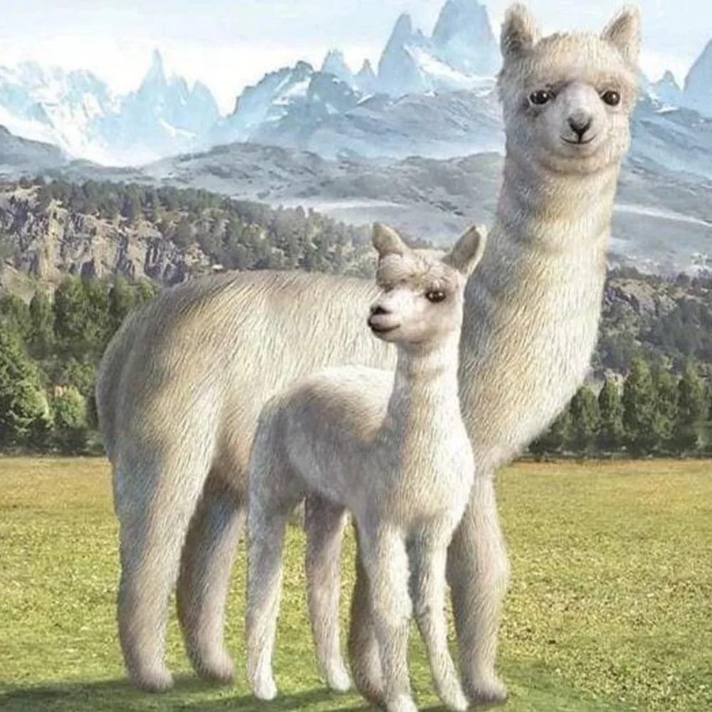 Broderie diamant Lama