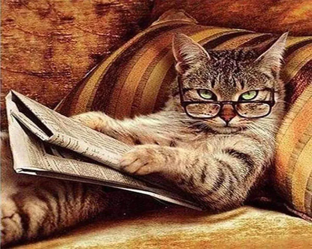 Le Chat connaisseur - Broderie diamant animalière élégante et raffinée