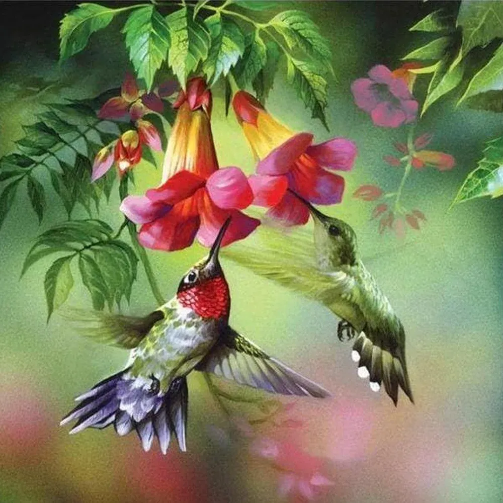 Broderie diamant Les Colibris