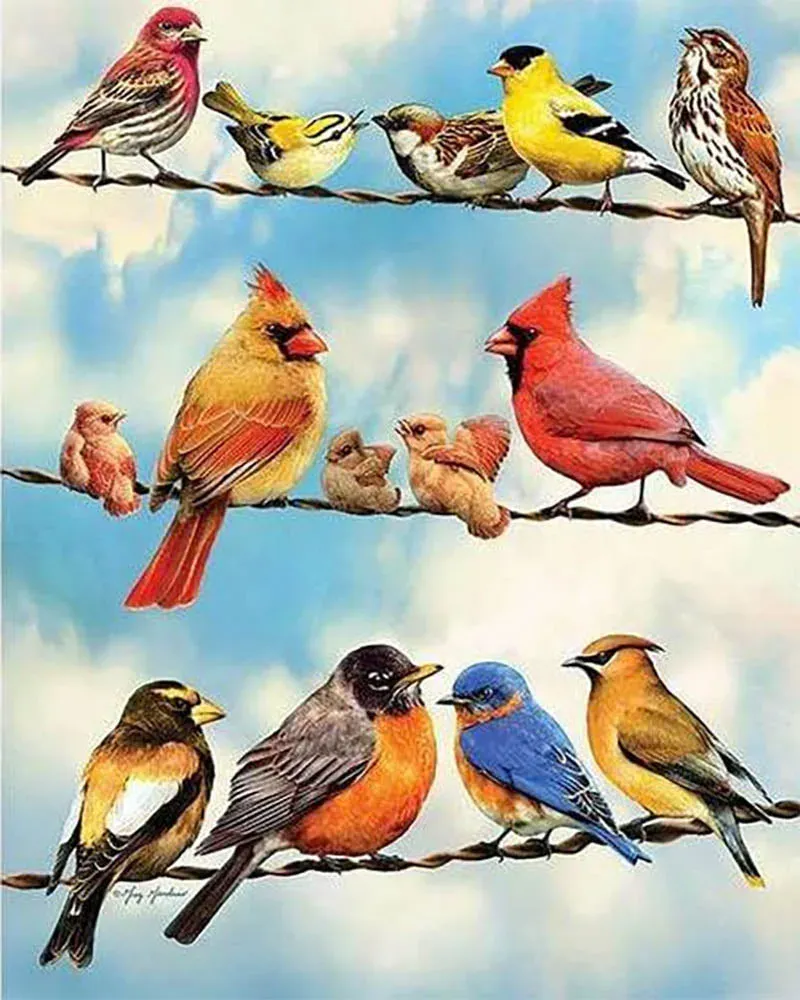 Broderie diamant Lignes d'Oiseaux