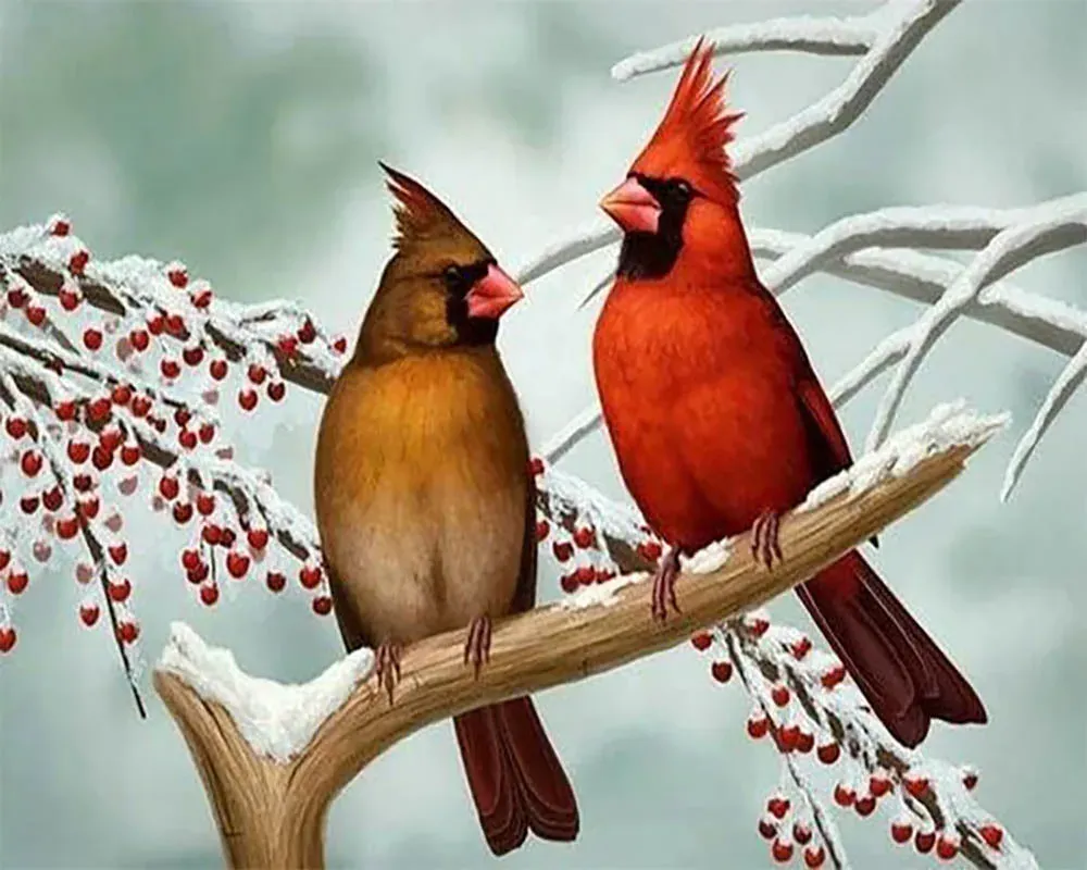 Broderie diamant Oiseaux des Tropiques