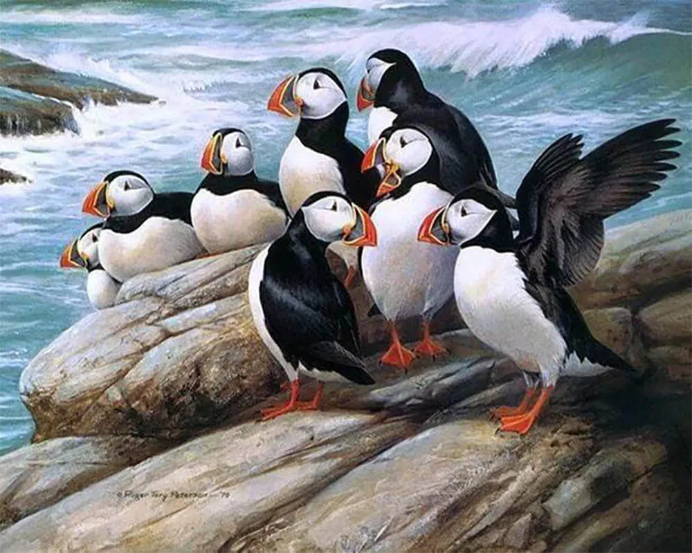 Broderie diamant Oiseaux en bord de Mer - Kit complet scintillant