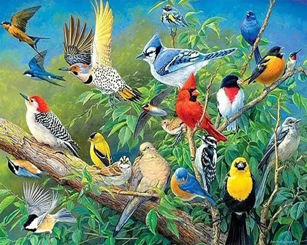 Broderie diamant Oiseaux Tropicaux - Kit animaux colorés et apaisants