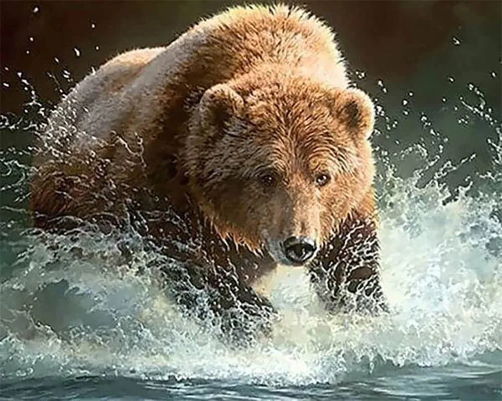 Broderie diamant Ours dans la Rivière - Kit animaux scintillants