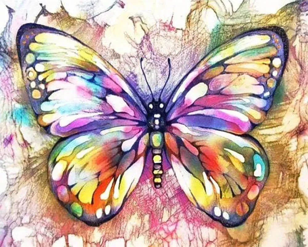 Broderie diamant Papillon Et Couleurs