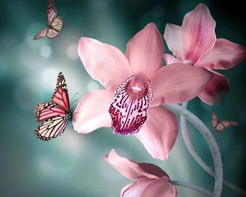 Broderie diamant Papillon et Orchidée - Élégance florale et légèreté