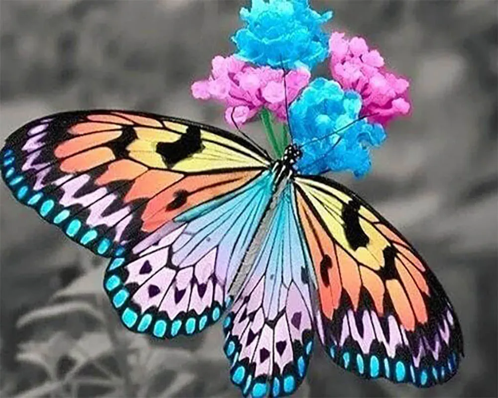 Broderie diamant papillon butinant - Kit complet animaux scintillants