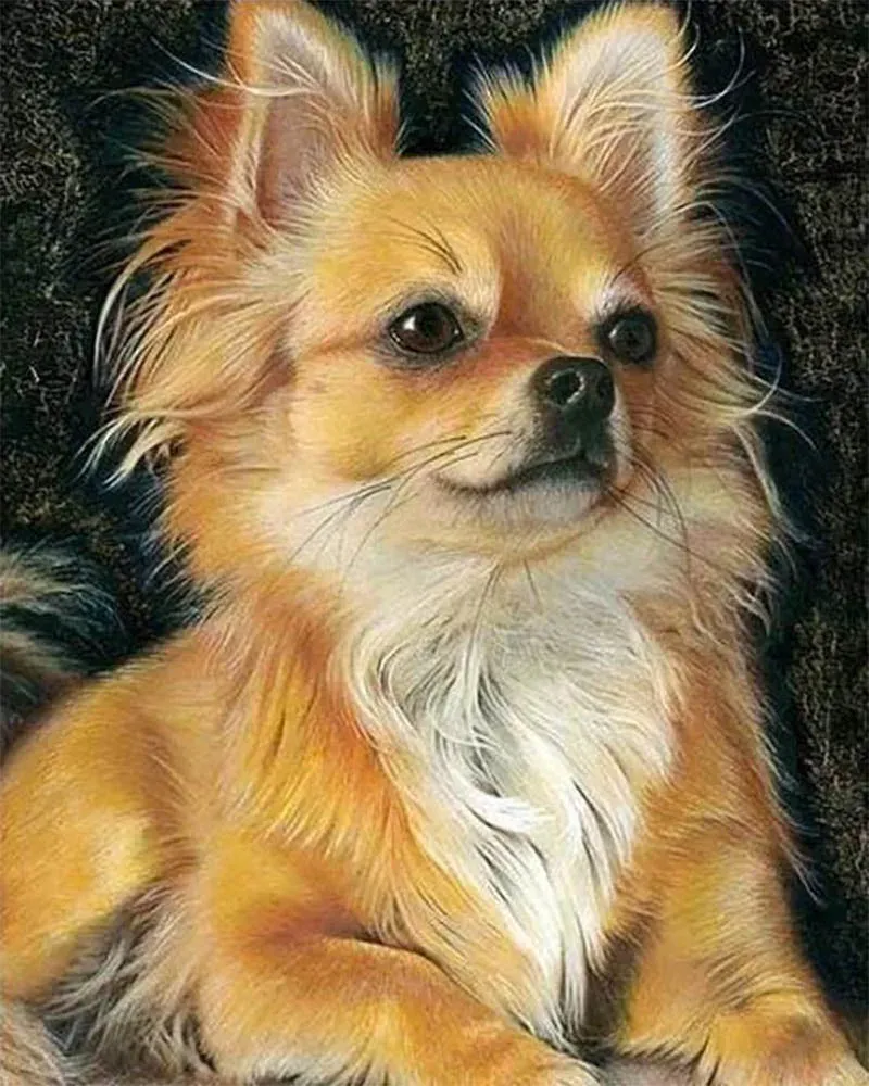 Broderie diamant Petit Chien roux - Mignon compagnon à créer