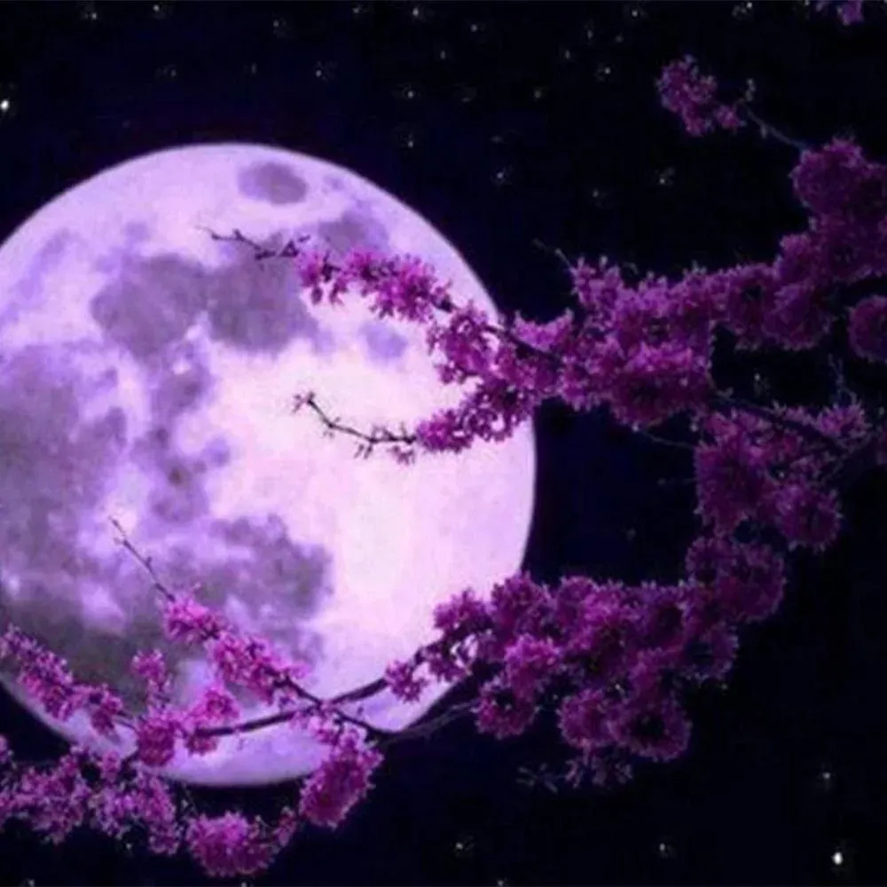 Broderie diamant Pleine Lune et Fleurs