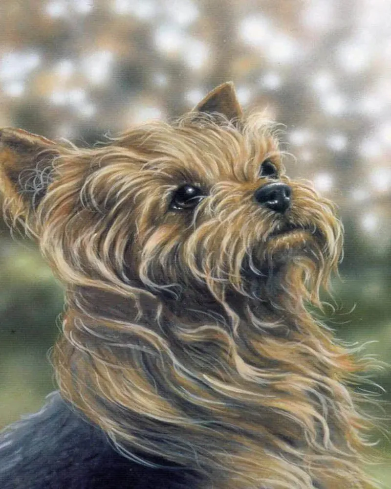 Broderie diamant Portrait d'un joli chien