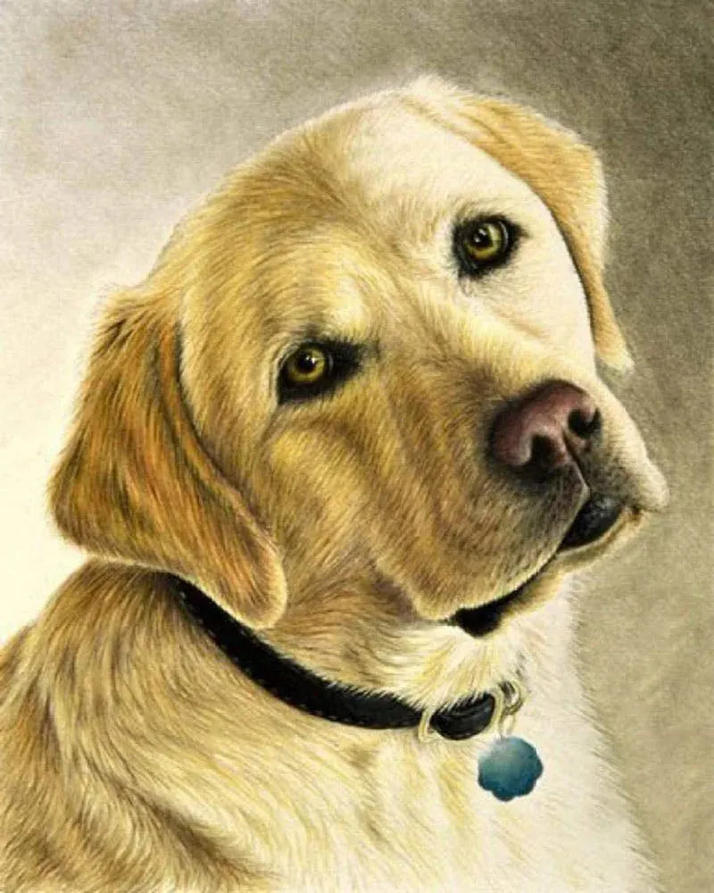 Broderie diamant Labrador - Portrait fidèle d'un chien affectueux