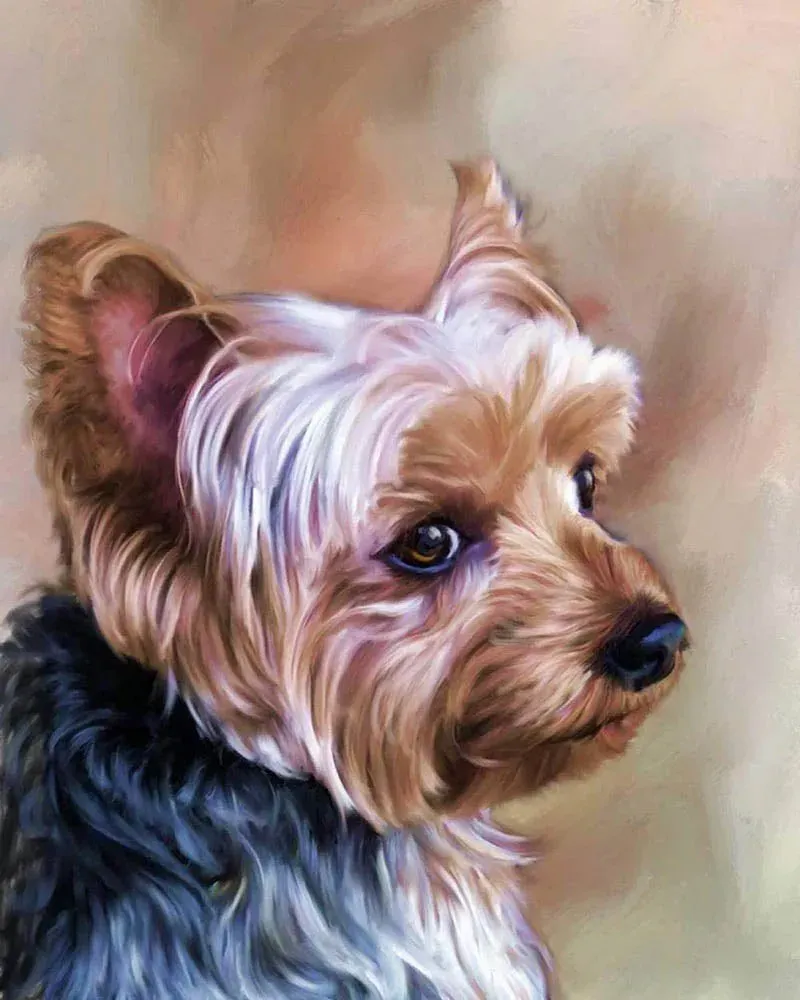 Broderie diamant Portrait d'un petit Chien