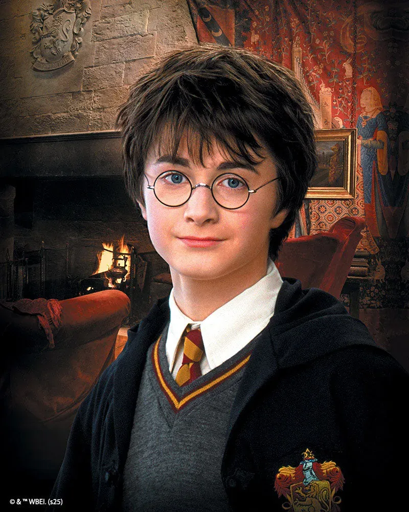 Broderie diamant Portrait de Harry Potter