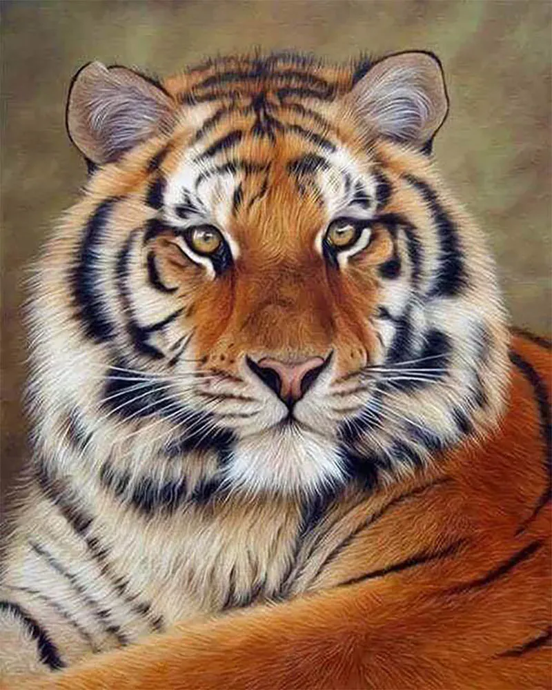 Broderie diamant Tigre - Regard captivant sur toile tendue 40x50 cm
