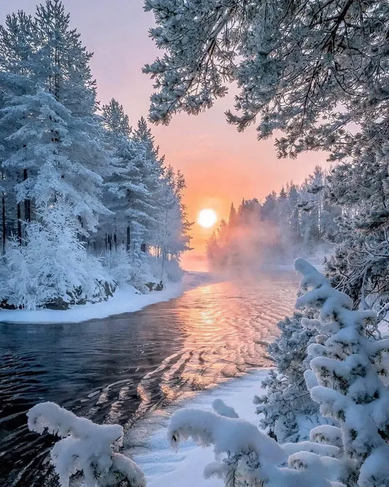 Broderie diamant Rivière au milieu de la forêt en hiver