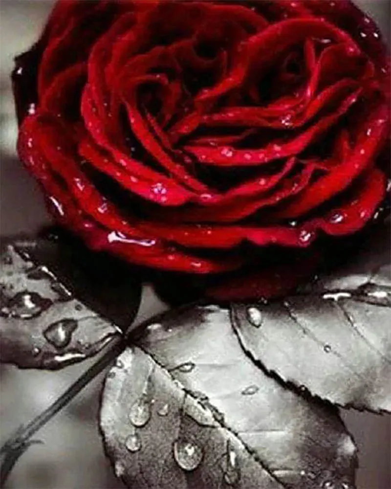 Broderie diamant Rose Rouge