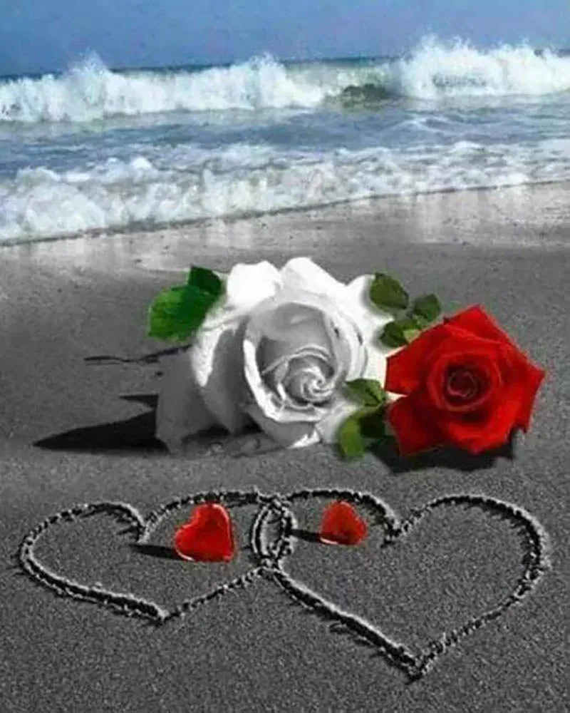 Broderie diamant Roses sur la Plage