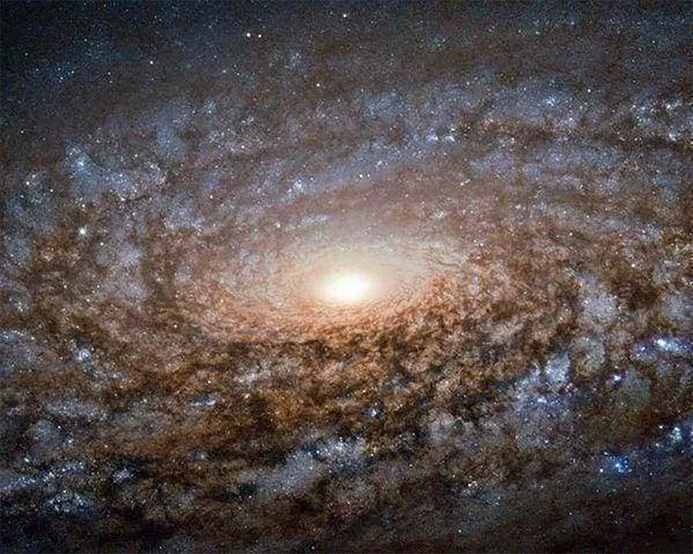 Broderie diamant Spirale
