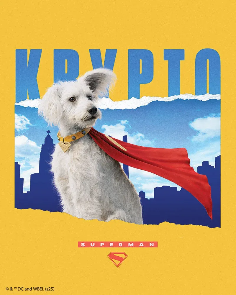 Broderie diamant Superman - Krypto avec Horizon