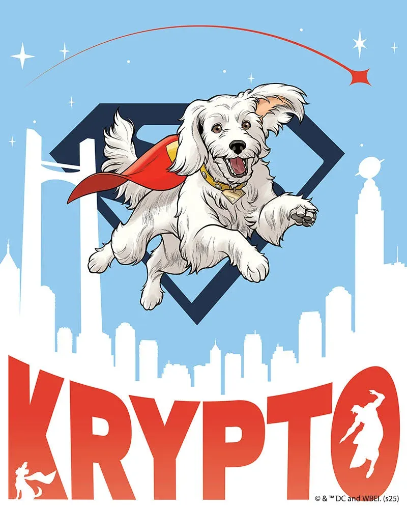 Broderie diamant Superman - Krypto Volant