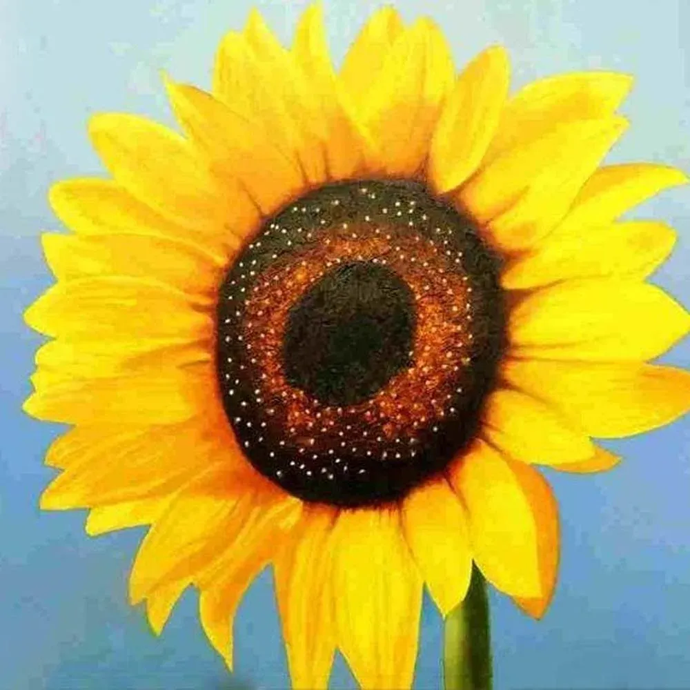 Broderie diamant Tournesol
