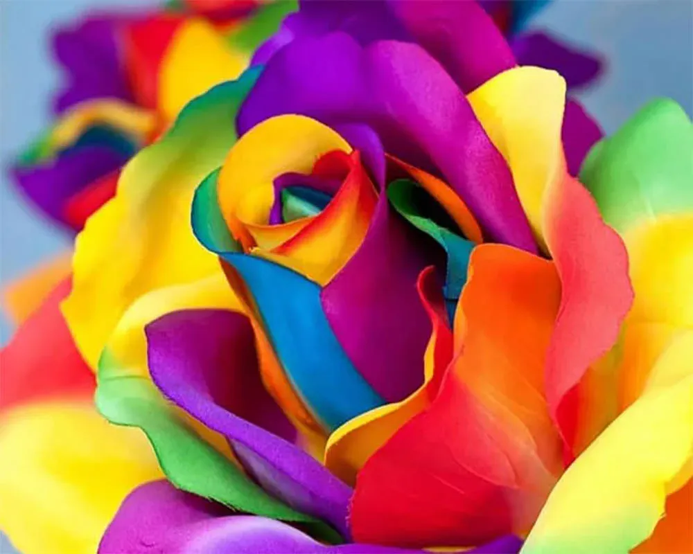 Broderie diamant Tulipe Multicolore