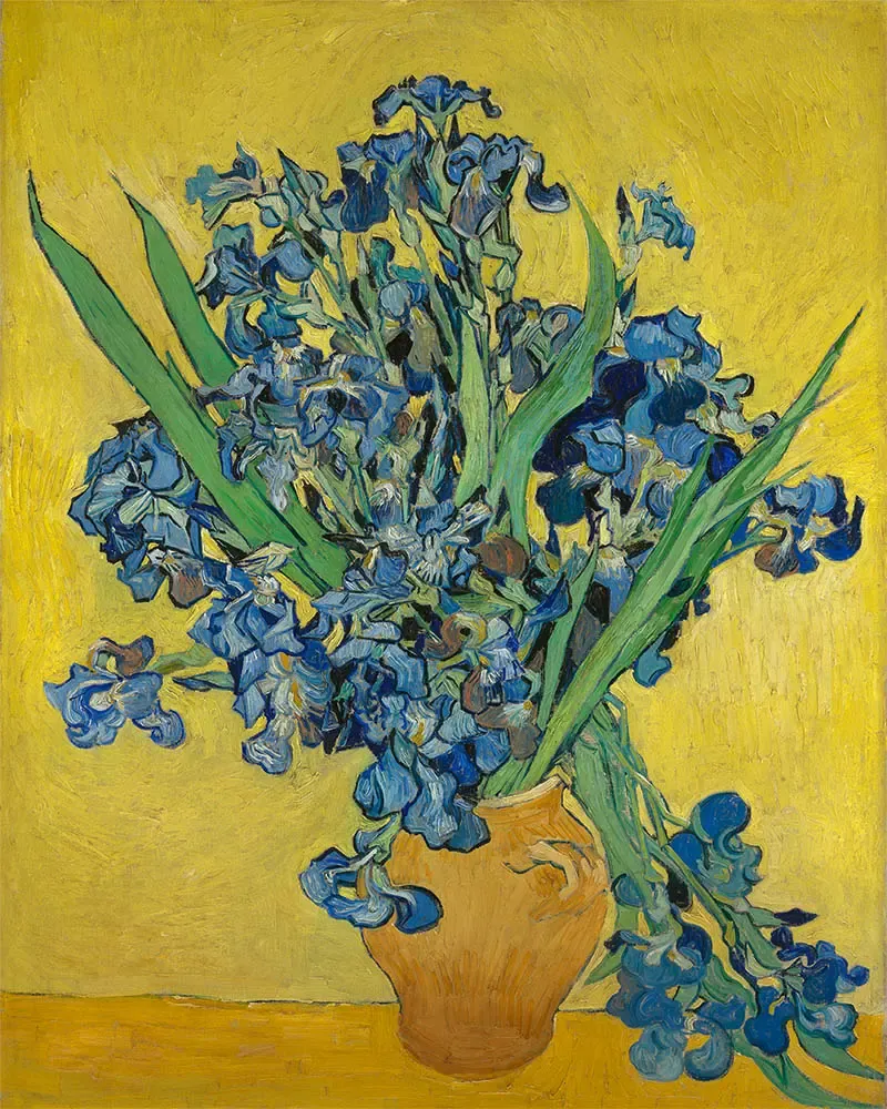 Broderie diamant Vase avec iris - Van Gogh