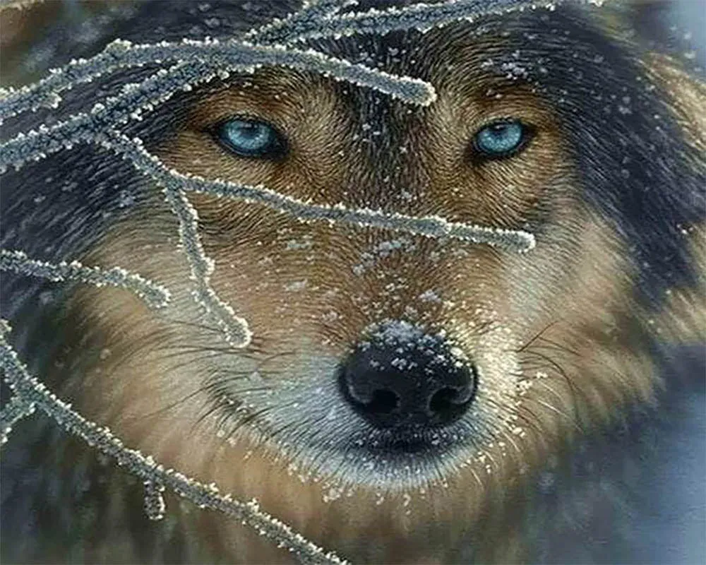 Broderie diamant Loup - Portrait sauvage en diamants carrés ou ronds
