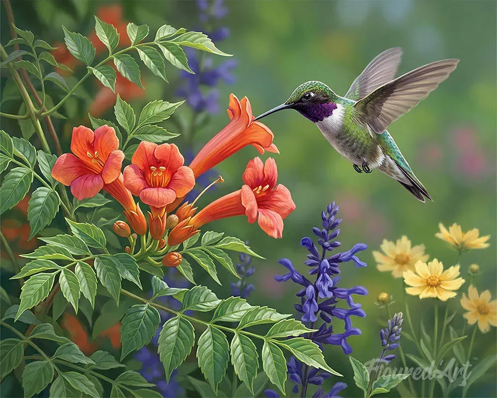 Broderie diamant colibris et fleurs - Havre des Colibris