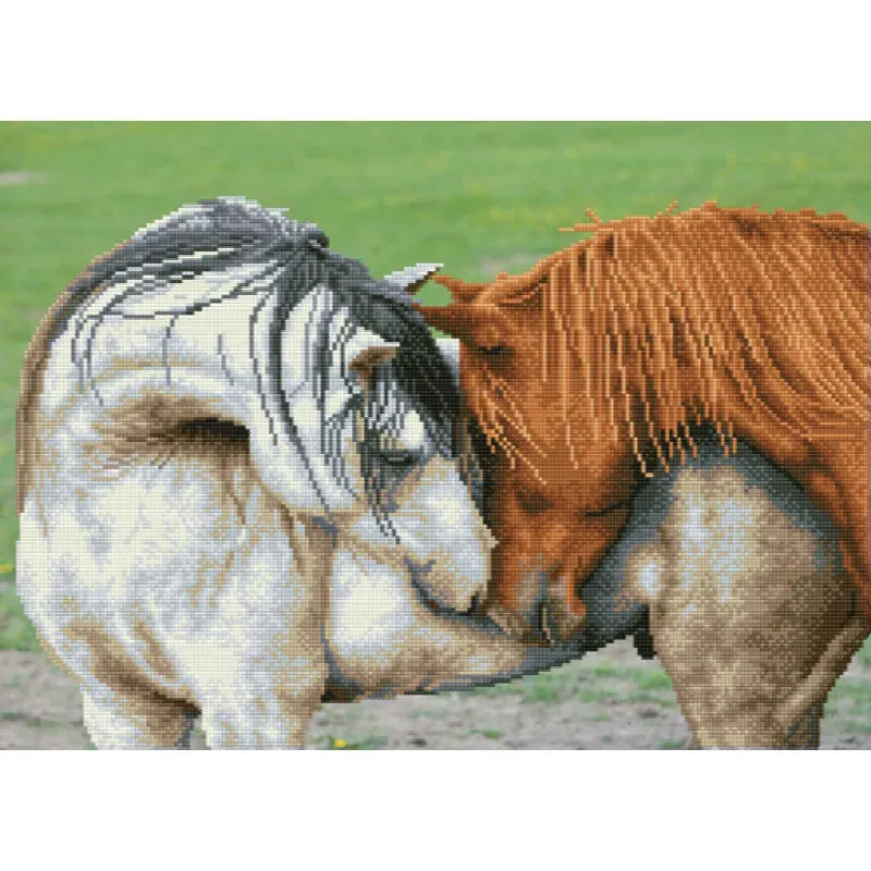 Kit broderie diamant duo de chevaux, 45 x 62 cm