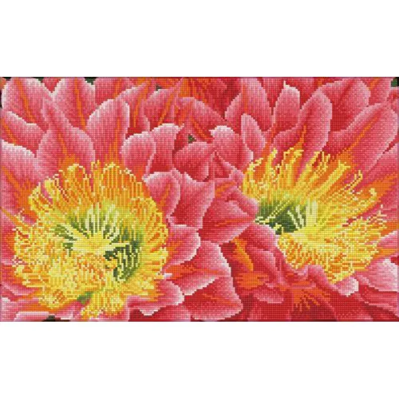 Kit broderie diamant fleurs du désert, 31 x 41 cm