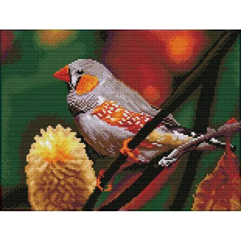 Kit broderie diamant oiseau diamant de Gould, 31 x 41 cm