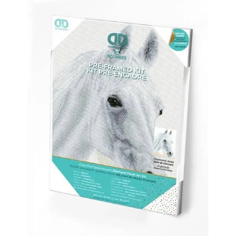Kit broderie diamant pur-sang arabe pré-encadré