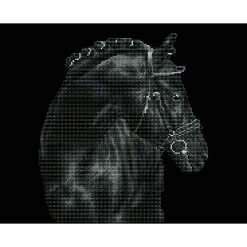 Kit broderie diamant pur-sang noir, 42 x 62 cm