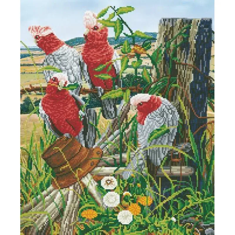 Kit broderie diamant quatre cacatoès, 47 x 57 cm