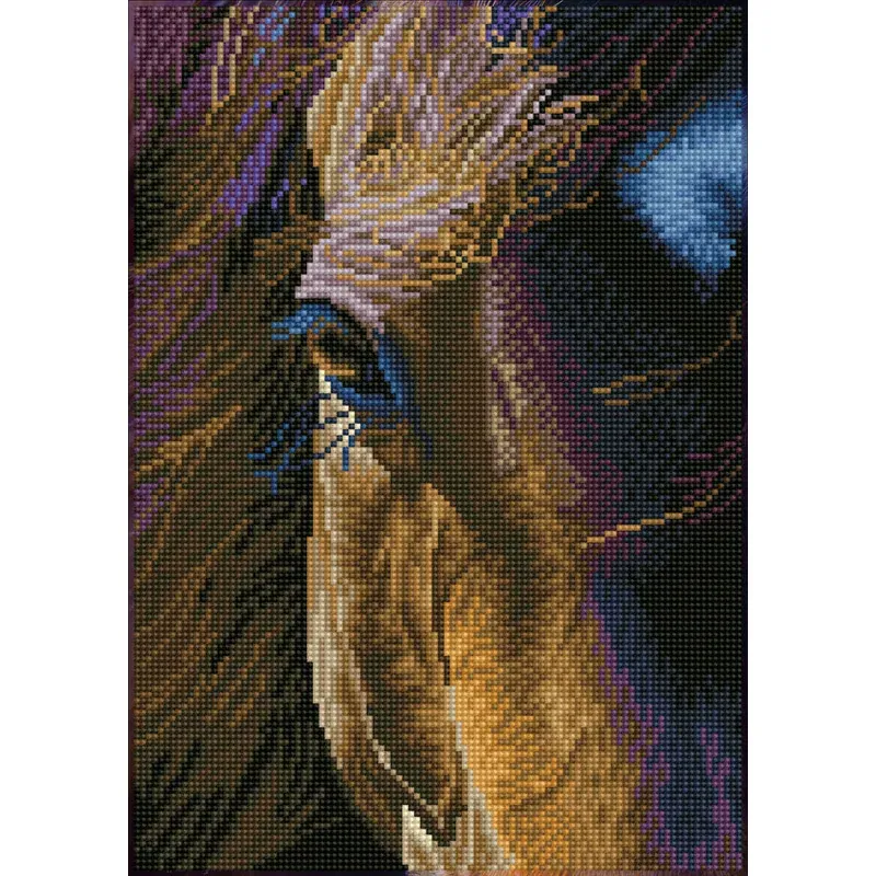 Kit broderie diamant Star niveau intermédiaire, 41.5 x 29.5 cm